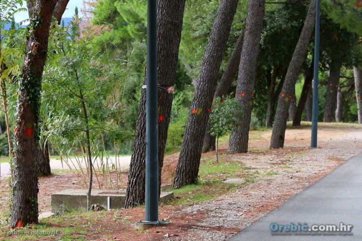 Foto: I. Trojanović